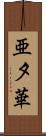 亜夕華 Scroll