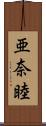 亜奈睦 Scroll