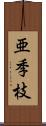 亜季枝 Scroll