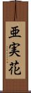 亜実花 Scroll