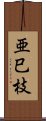 亜巳枝 Scroll