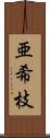 亜希枝 Scroll
