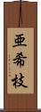 亜希枝 Scroll