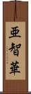 亜智華 Scroll