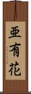 亜有花 Scroll