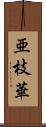 亜枝華 Scroll