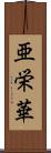 亜栄華 Scroll