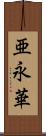 亜永華 Scroll