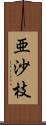 亜沙枝 Scroll