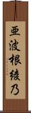 亜波根綾乃 Scroll