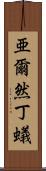 亜爾然丁蟻 Scroll