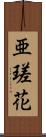 亜瑳花 Scroll