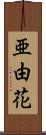 亜由花 Scroll