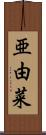 亜由菜 Scroll