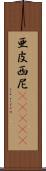 亜皮西尼(ateji) Scroll