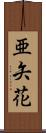 亜矢花 Scroll