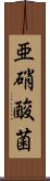 亜硝酸菌 Scroll