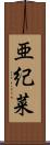 亜紀菜 Scroll