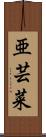 亜芸菜 Scroll