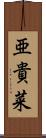 亜貴菜 Scroll