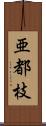 亜都枝 Scroll