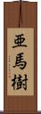 亜馬樹 Scroll
