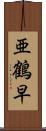 亜鶴早 Scroll