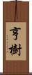 亨樹 Scroll