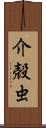 介殻虫 Scroll