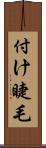付け睫毛 Scroll