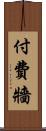 付費牆 Scroll