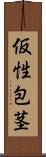 仮性包茎 Scroll