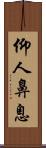 仰人鼻息 Scroll