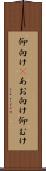 仰向け(P) Scroll