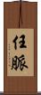 任脈 Scroll