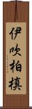 伊吹柏槙 Scroll