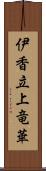 伊香立上竜華 Scroll