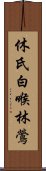 休氏白喉林鶯 Scroll