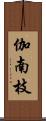 伽南枝 Scroll