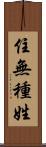 住無種姓 Scroll