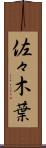 佐々木葉 Scroll
