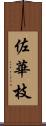 佐華枝 Scroll