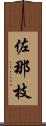 佐那枝 Scroll