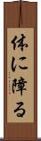 体に障る Scroll