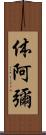 体阿彌 Scroll