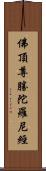 佛頂尊勝陀羅尼經 Scroll