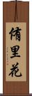 侑里花 Scroll