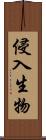 侵入生物 Scroll