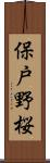 保戸野桜 Scroll