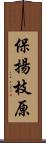 保揚枝原 Scroll
